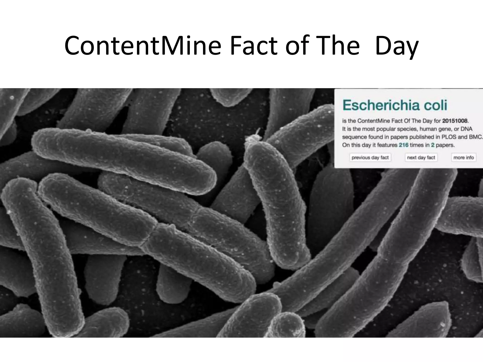 ContentMine Fact of The Day
• Fact of the day
• Endangered species in recent science
• Facts
• Bubbles
 