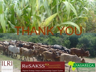 Strengthen and use regional institutions for preparedness and responsePriority Actions:Strengthen market information & intelligence (e.g. RATIN,FEWSNET, EAGC)Institutional frameworks for preparedness, response, and learning