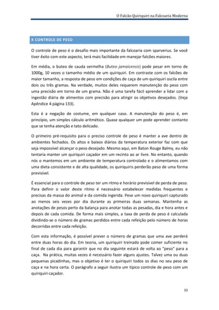 delta domestic bolsagage