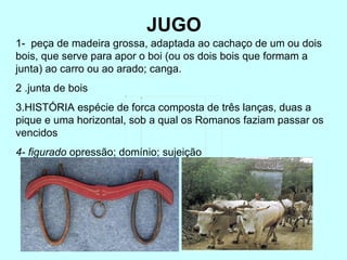 JUGO 1-  peça de madeira grossa, adaptada ao cachaço de um ou dois bois, que serve para apor o boi (ou os dois bois que formam a junta) ao carro ou ao arado; canga. 2 .junta de bois 3.HISTÓRIA espécie de forca composta de três lanças, duas a pique e uma horizontal, sob a qual os Romanos faziam passar os vencidos 4- figurado  opressão; domínio; sujeição  