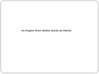 As imagens foram obtidas através da Internet.

 