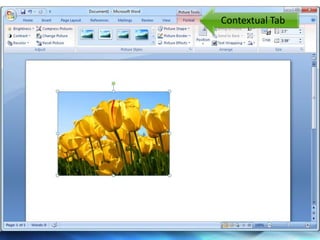 Contextual Tab