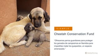 Cheetah Conservation Fund
“Ofrecemos perros guardianes para proteger
los ganados de campesinos en Namibia para
impedirles matar los guepardos, un especie
amenazado.”
E J E M P L O
 