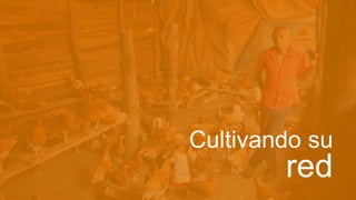 Cultivando su
red
 