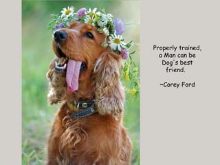 Properly trained, a Man can be Dog's best friend.  ~Corey Ford 