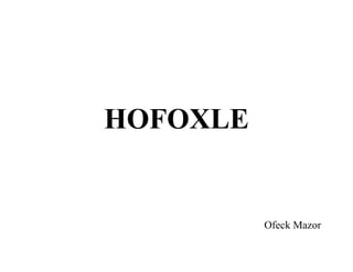 HOFOXLE


          Ofeck Mazor
 