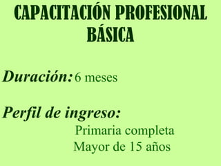 CAPACITACIÓN PROFESIONAL BÁSICA Duración:   6 meses Perfil de ingreso:   Primaria completa Mayor de 15 años 