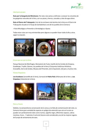 Ideal para grupos

Ruta por la Garganta de Minchones: Por esta ruta vamos a disfrutar y conocer los encantos de
las gargantas naturales de la Vera, con sus pozas, charcos, cascadas y calas de agua dulce.

Ruta al Charco del Trabuquete: Uno de los enclaves más bonitos de la Vera es el Charco de
Trabuquete situado en el Guijo de Santabárbara uno de los pueblos de la Comarca

+ Ruta Micológica o Pimentón o Ornitológica o Queso.

Todas estas rutas son muy entretenidas pero algunas se pueden hacer todo el año y otras
según la estación.




Cosas que ver por la Zona

Parque Nacional de Monfragüe, Monasterio de Yuste, Castillo de los Condes de Oropesa,
Guadalupe, Trujillo, Cáceres, los pueblos de la Vera,5 Conjuntos históricos Artísticos,
Granadilla, Sierra de Gredos, Museos del Pimentón, de la Inquisición, del pan y muchos más.

Fiestas Populares

Los Escobazos (Jarandilla de la Vera), Carnaval de Pedro Palo (Villanueva de la Vera y Los
Empalaos (Valverde de la Vera).




Flora y Fauna

Debido a la extraordinaria conservación de la zona y a la falta de contaminación del cielo, La
Comarca tiene gran variedad de especies en peligro de extensión que aún en la zona se
pueden ver perfectamente tales como nutrias, cigüeña negra, diferentes rapaces, cabras
montesa, linces… Y además el norte de Cáceres está considerado uno de los mejores lugares
de Europa de avistamiento de aves.


                                                2
 