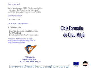 FORMACIÓ
PROFESSIONAL
UN FUTUR APROFITÓS
Qui ho pot fer?
Joves graduats en E.S.O., P.F.B, o equivalent,
i els majors de 17 anys, sense els requisits
anteriors, que superin una prova d’accés.
Quin horari faràs?
De 8:00 a 14:00
On es fa el cicle formatiu?
A l’IES Llucmajor
Camí de Gràcia 73. 07620 Llucmajor
Tel: 971 660 052
E-mail: iesllucmajor@educacio.caib.es
Formació Professional a la web:
http://formacioprofessional.caib.es
http://www.todofp.es
 