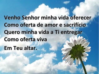 Venho Senhor minha vida oferecerVenho Senhor minha vida oferecer
Como oferta de amor e sacrifícioComo oferta de amor e sacrifício
Quero minha vida a Ti entregarQuero minha vida a Ti entregar
Como oferta vivaComo oferta viva
Em Teu altar.Em Teu altar.
 