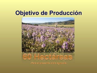 Objetivo de Producción
 