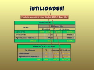 ¡Utilidades!
INGRESO NETO
DETALLE
3 Dólares x Kilo
1 Hectárea 60 Hectáreas
Venta bruta 500 K 1.500,oo 30.000 K 90.000,oo
Inversionista -516,oo -30.963,oo
Agroindustrias Madidi s.r.l. -300,oo -18.000,oo
Utilidad 684,oo 41.037,oo
REPARTICIÓN DE UTILIDADES
Participantes % 1 Hectárea 60 Hectáreas
Inversionistas 40 274,oo 16.415,oo
Agroindustrias Madidi s.r.l. 60 410,oo 24.622,oo
Total 100% 684,oo 41.037,oo
Precio Referencial al 10 de Abril de 2013: 3 $us x Kilo
 