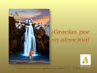 ® Derechos Reservados: Agroindustrias Madidi s.r.l. © 2013
 