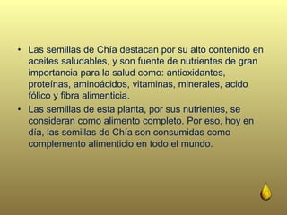 • Las semillas de Chía destacan por su alto contenido en
aceites saludables, y son fuente de nutrientes de gran
importancia para la salud como: antioxidantes,
proteínas, aminoácidos, vitaminas, minerales, acido
fólico y fibra alimenticia.
• Las semillas de esta planta, por sus nutrientes, se
consideran como alimento completo. Por eso, hoy en
día, las semillas de Chía son consumidas como
complemento alimenticio en todo el mundo.
 
