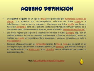 Aqueno definición
• Un aquenio o aqueno es un tipo de fruto seco producido por numerosas especies de
plantas. Los aquenios son monocarpelados —forman un único carpelo— e
indehiscentes —no se abre al madurar—. Contienen una única semilla que llena el
hueco del pericarpio, pero no se adhiere a éste; la combinación de fruto y semilla es lo
que se considera tal en numerosas especies, como el alforfón (Fagopyrum esculentum).
• Las motas negras que salpican la superficie de la fresa o frutilla (Fragaria spp.) son en
realidad aquenios. Lo que se considera normalmente la fruta en este último caso es en
realidad un eterio un receptáculo floral engrosado y carnoso, convertido en fruto o
fruto accesorio.
• Similares a los aquenios son los cariópsides (granos de trigo o maíz, por ejemplo), en los
que el pericarpio se funde con la cubierta seminal, las sámaras, que presentan alas para
su desplazamiento por anemocoria, y los utrículos, que se diferencian por poseer un
ovario compuesto.
http://es.wikipedia.org/wiki/Aquenio
 