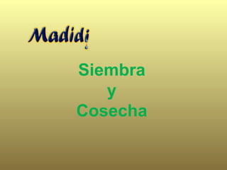Siembra
y
Cosecha
 