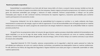 Sostenibilidad: La sostenibilidad no se trata solo de hacer menos daño a la tierra o consumir menos recursos, también se trata de
hacer más bien y minimizar el impacto acumulativo de otras empresas. Nuestro negocio principal es proporcionar a la industria una amplia
gama de soluciones sostenibles que protegen y restauran el medio ambiente. Estamos comprometidos a trabajar con las partes
interesadas para mejorar el valor comercial mientras minimizamos los impactos negativos y buscamos oportunidades para aumentar
nuestra participación en la economía circular.
Compromiso Ambiental: Uno de los objetivos de sostenibilidad de la empresa es contribuir a un medio ambiente más limpio,
maximizando la conservación de energía y agua en toda la organización. El uso de biocombustibles como el biogás producido en nuestras
instalaciones es el enfoque de nuestro programa de conservación de energía mediante la reducción de combustibles fósiles en nuestros
procesos productivos.
De igual forma nos proponemos reducir el consumo de agua durante nuestros procesos industriales mediante la bioremediacion de
aguas residuales y su uso en el riego de áreas verdes, lavado de flotas y áreas de producción así como en nuestras instalaciones
sanitarias. También hemos diseñado planes de gestión de rutas de entrega y retiro al mismo tiempo con nuestros camiones, lo que reduce
el consumo de combustible.
Seguridad Industrial: En CCA Consultor, estamos comprometidos con la seguridad y salud de nuestro personal en todas las
actividades que realizamos, así como con nuestros clientes, contratistas y proveedores que desempeñan tareas en nuestras instalaciones.
Por ello definimos las Política de Seguridad de Seguridad e Higiene Industrial como base para lograr un desarrollo sustentable en todas
nuestras operaciones.
Nuestros principios corporativos
 