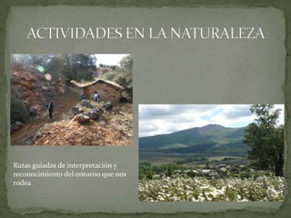 Rutas guiadas de interpretación y
reconocimiento del entorno que nos
rodea