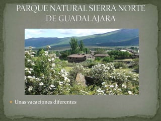  Unas vacaciones diferentes