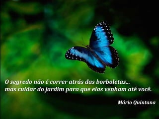 O segredo não é correr atrás das borboletas...
mas cuidar do jardim para que elas venham até você.
Mário Quintana

 