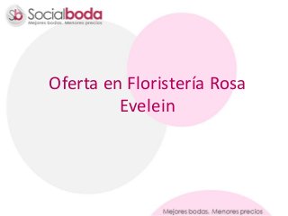Oferta en Floristería Rosa
Evelein
 