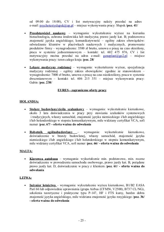 Oferty Pracy20032013
