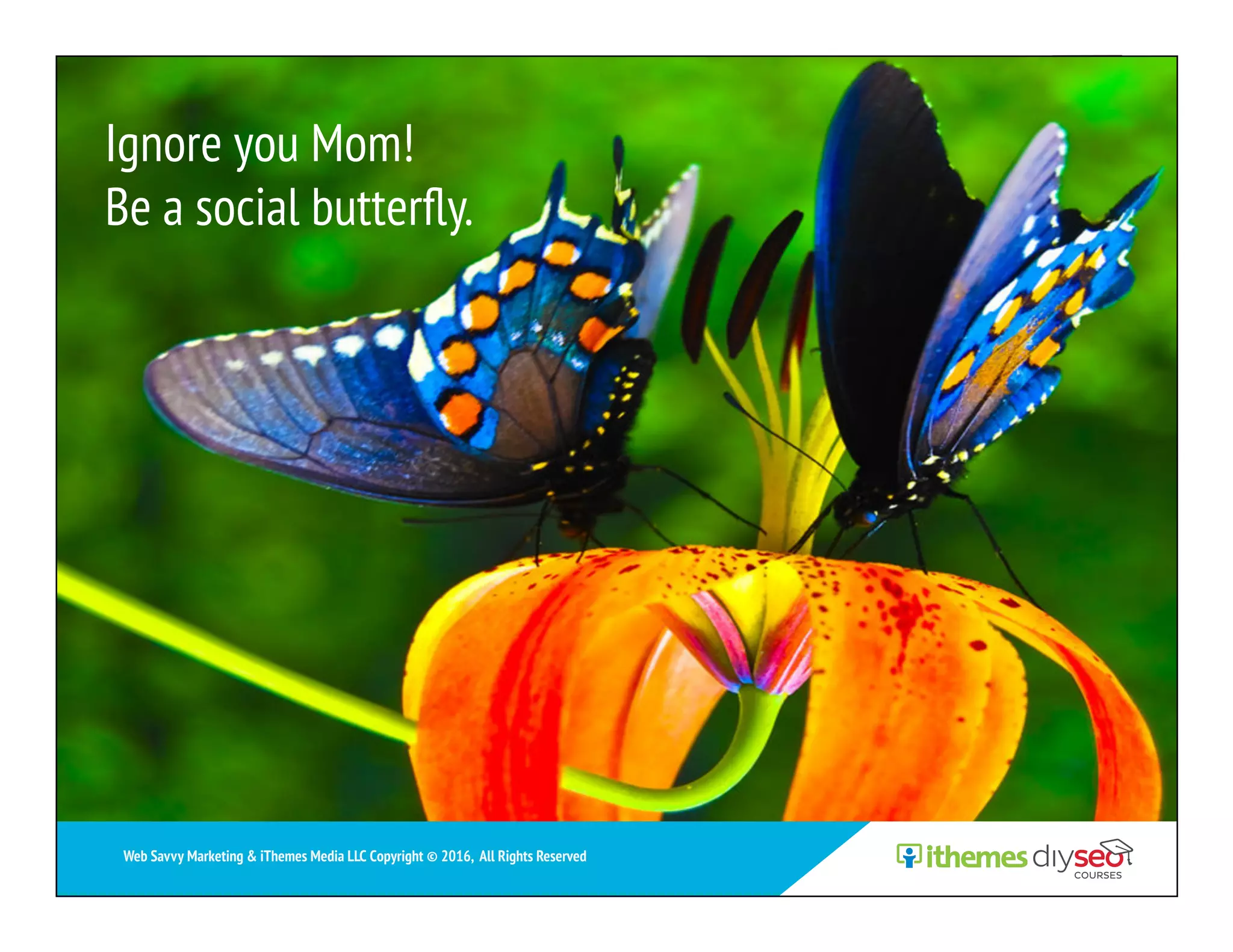 Ignore you Mom!
Be a social butterﬂy.
Web Savvy Marketing & iThemes Media LLC Copyright © 2016, All Rights Reserved
 