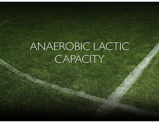 ANAEROBIC LACTIC
CAPACITY
 