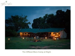 The Offbeat Mara Camp at Night  