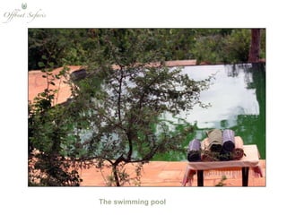 The swimming pool 