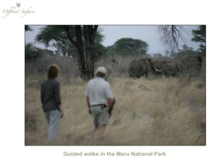 Guided walks in the Meru National Park 