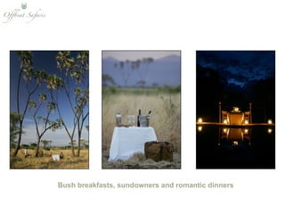 Bush breakfasts, sundowners and romantic dinners 
