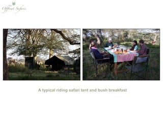 A typical riding safari tent and bush breakfast 