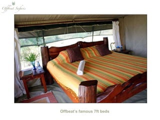 Offbeat’s famous 7ft beds 