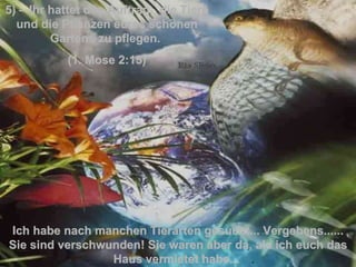 5 )  – Ihr hattet den Auftrag,  die Tiere und die Pflanzen eures schönen Gartens zu pflegen.  (1. Mose 2:15) Ich habe nach manchen Tierarten gesucht... Vergebens...... Sie sind verschwunden! Sie waren aber da, als ich euch das Haus vermietet habe ...  . 