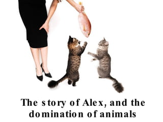The story of Alex, and the domination of animals 