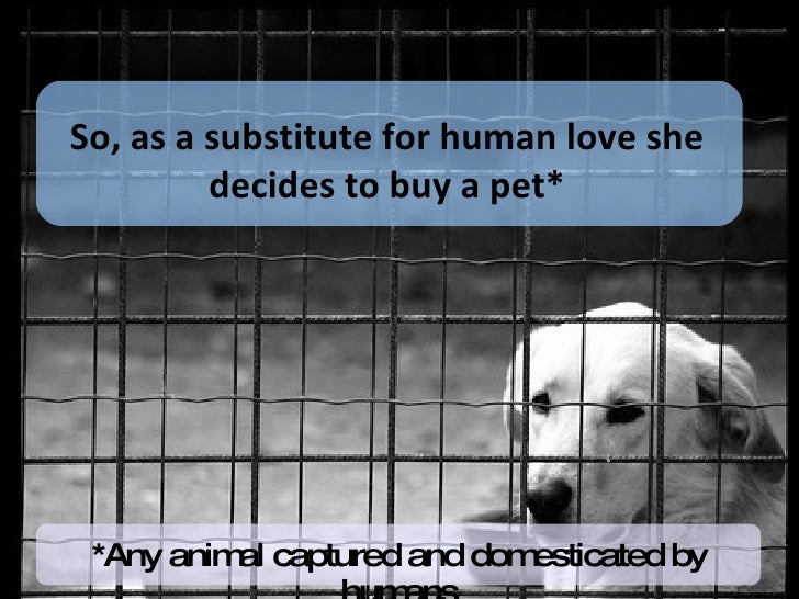 Why do people own pets?