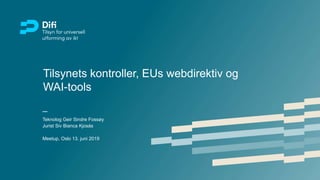 Tilsynets kontroller, EUs webdirektiv og
WAI-tools
Teknolog Geir Sindre Fossøy
Jurist Siv Bianca Kjosås
Meetup, Oslo 13. juni 2019
 