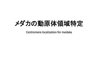 メダカの動原体領域特定
Centromere localization for medaka
 