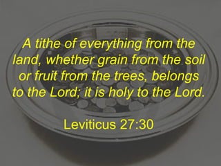 A tithe of everything from the land, whether grain from the soil or fruit from the trees, belongs to the Lord; it is holy to the Lord. Leviticus 27:30 