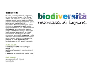 Biodiversità 
Un parco, un bosco, un canale, un giardino, un orto, un incolto, il mare …..: la natura entra in città attraverso svariate porte, ed una osservazione attenta di questi ambienti può riservare molte sorprese positive, spesso rappresentate dagli animali che li frequentano. Riconoscere e scoprire questi elementi porta a conferire valore a degli spazi, spesso residuali, che potrebbero essere meglio gestiti favorendo così le ricadute positive sull’ambiente (Ecologia urbana). Le scuole possono rappresentare un veicolo fondamentale alla diffusione di queste conoscenze, favorendo la convivenza, a volte difficile tra cittadini ed elementi naturali. Dai percorsi attivati potranno emergere anche proposte ed azioni migliorative, da condividere con gli altri “attori” interessati. 
Moduli attivabili: 
Corsi d’acqua in città: birdwatching sul Lagora* 
Ecosistema Parco: parchi urbani serbatoi di natura 
Il mare sulle ali: birdwatching al Molo Italia* 
Livelli scolastici: 
Secondo ciclo Scuola Primaria 
Scuola Media 
 