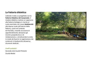 La Fattoria didattica 
L’attività è stata co-progettata con la Fattoria Didattica del Carpanedo; il modulo didattico realizza un approccio alla Fattoria biologica in merito al ruolo esercitato nel creare biodiversità alle diverse scale (all’interno della fattoria, come nel contesto territoriale), creando occasione di approfondimento attraverso gli incontri propedeutico e di rielaborazione, e strutturando la visita in modo da favorire la registrazione dei contenuti in biodiversità attraverso strumenti dedicati. 
Livelli scolastici 
Secondo ciclo Scuola Primaria 
Scuola Media 
 