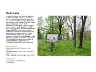 Biodiversità 
Un parco, un bosco, un canale, un giardino, un orto, un incolto, il mare …..: la natura entra in città attraverso svariate porte, ed una osservazione attenta di questi ambienti può riservare molte sorprese positive, spesso rappresentate dagli animali che li frequentano. Riconoscere e scoprire questi elementi porta a conferire valore a degli spazi, spesso residuali, che potrebbero essere meglio gestiti favorendo così le ricadute positive sull’ambiente (Ecologia urbana). Le scuole possono rappresentare un veicolo fondamentale alla diffusione di queste conoscenze, favorendo la convivenza, a volte difficile tra cittadini ed elementi naturali. Dai percorsi attivati potranno emergere anche proposte ed azioni migliorative, da condividere con gli altri “attori” interessati. 
Moduli attivabili: 
Corsi d’acqua in città: birdwatching sul Lagora* 
Ecosistema Parco: parchi urbani serbatoi di natura 
Il mare sulle ali: birdwatching al Molo Italia* 
Livelli scolastici: 
Secondo ciclo Scuola Primaria 
Scuola Media 
 