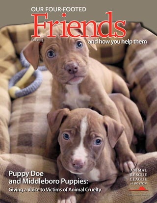 OUR FOUR-FOOTED

Friends
Fall 2013

and how you help them

Puppy Doe
and Middleboro Puppies:
Giving a Voice to Victims of Animal Cruelty

 