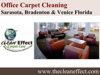 www.thecleaneffect.com Office Carpet Cleaning  Sarasota, Bradenton & Venice Florida 