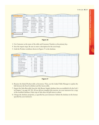 Office 2007   introductory concept and technoques