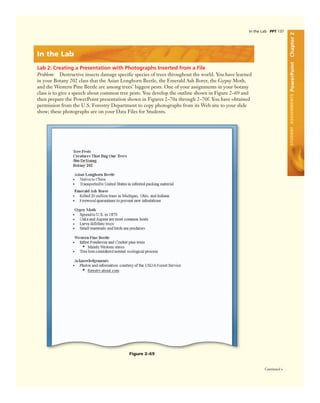 Office 2007   introductory concept and technoques