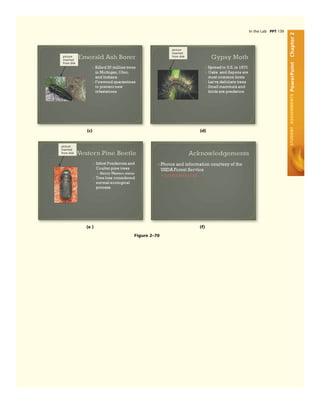 Office 2007   introductory concept and technoques