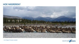 HOE MIGREREN? 
Arno Flapper, Prinicipal consultant 
 