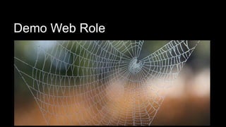Demo Web Role